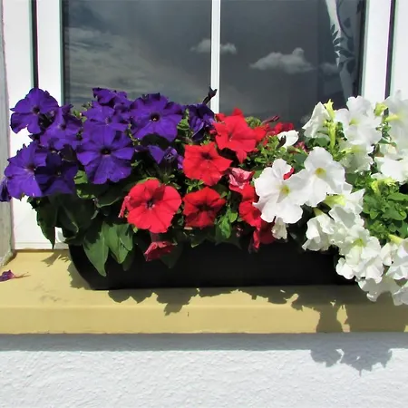 Breacan Bed & Breakfast