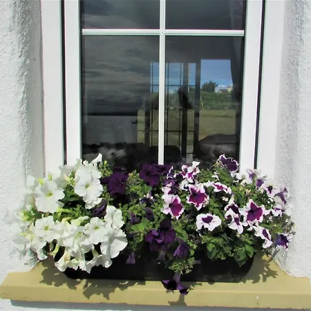 Breacan Bed & Breakfast 3*